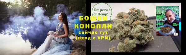 прущие грибы Абинск