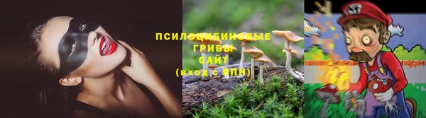 крисы Новодвинск