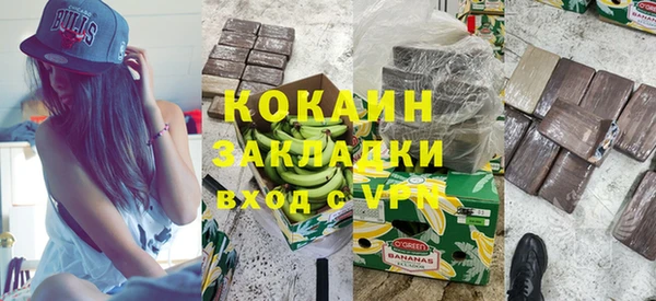 прущие грибы Абинск