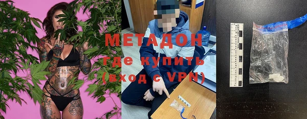прущие грибы Абинск