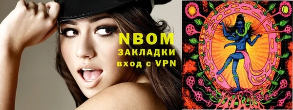прущие грибы Абинск