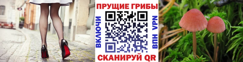 Псилоцибиновые грибы ЛСД  наркотики  Исилькуль 